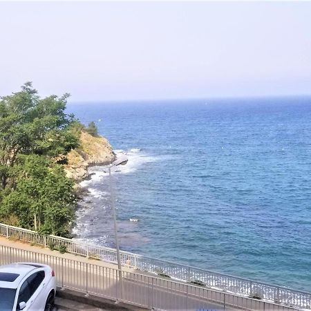 Appartement T3 A Banyuls, Climatise, Proche Plage - Fr-1-309-281 Zewnętrze zdjęcie