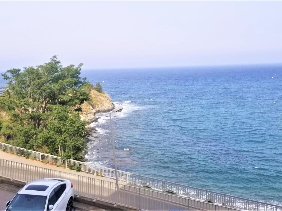 Appartement T3 A Banyuls, Climatise, Proche Plage - Fr-1-309-281 Zewnętrze zdjęcie
